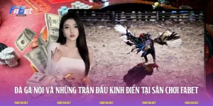 Đá Gà Nòi Và Những Trận Đấu Kinh Điển Tại Sân Chơi FABET
