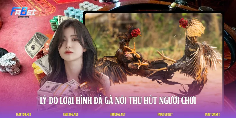 Lý do loại hình đá gà nòi thu hút người chơi