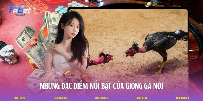 Những đặc điểm nổi bật của giống gà nòi